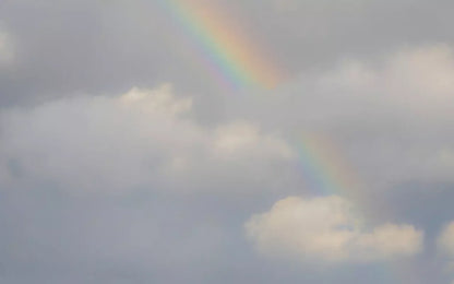 Over The Rainbow 14X9 Ultracloth ( 168 X 108 Inch ) Backdrop