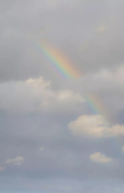 Over The Rainbow 8X12 Ultracloth ( 96 X 144 Inch ) Backdrop