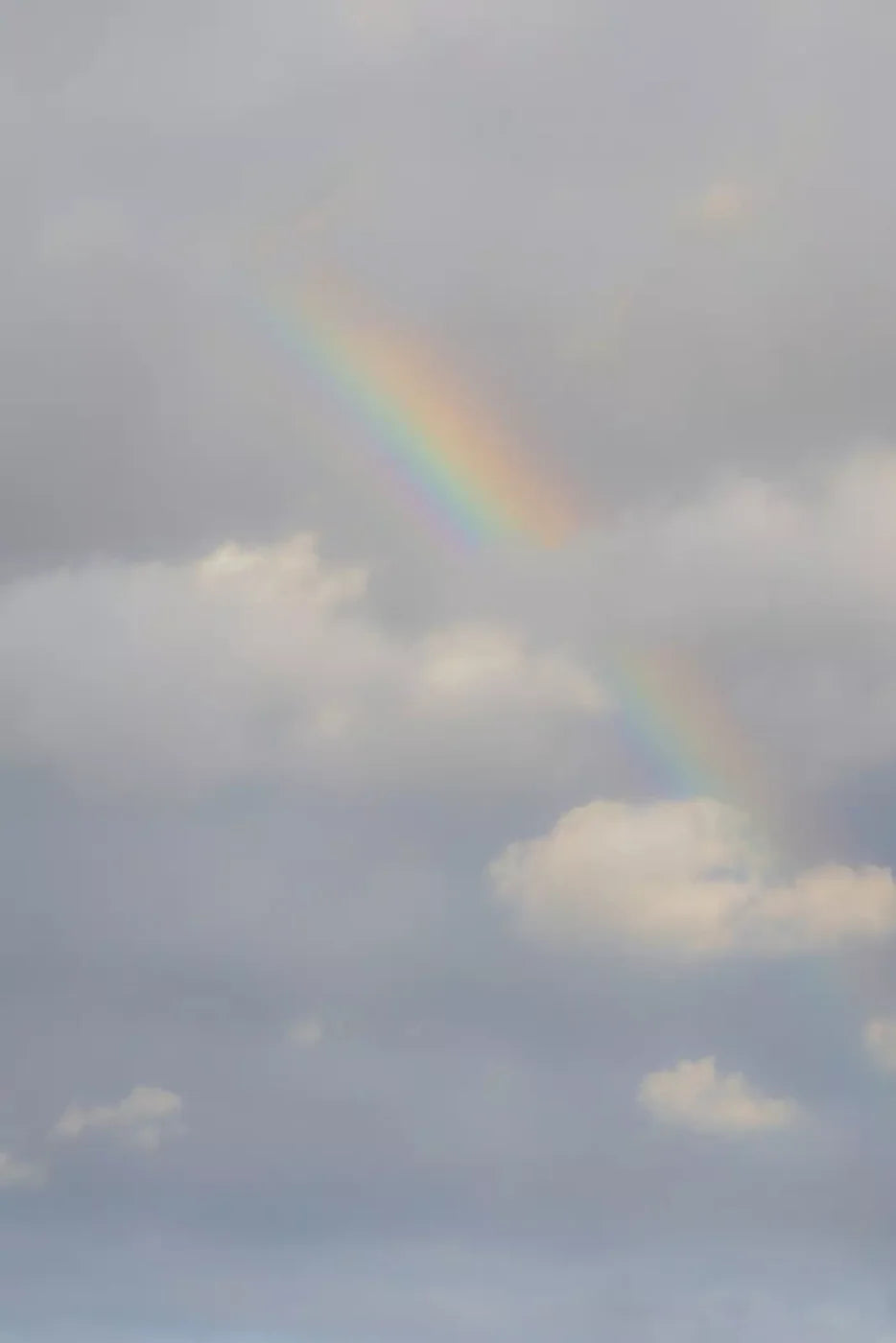 Over The Rainbow Backdrop