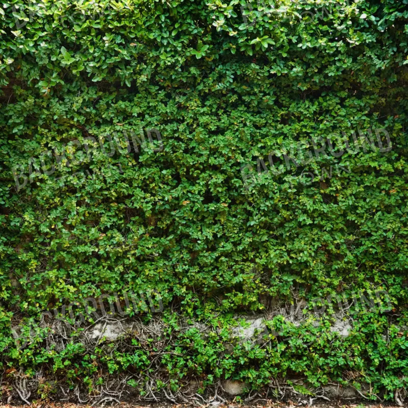 Overgrowth 10X10 Ultracloth ( 120 X Inch ) Backdrop