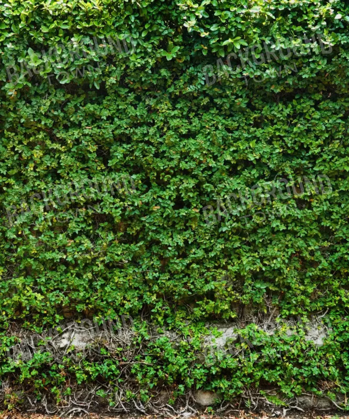 Green Nature Backdrop for Photography