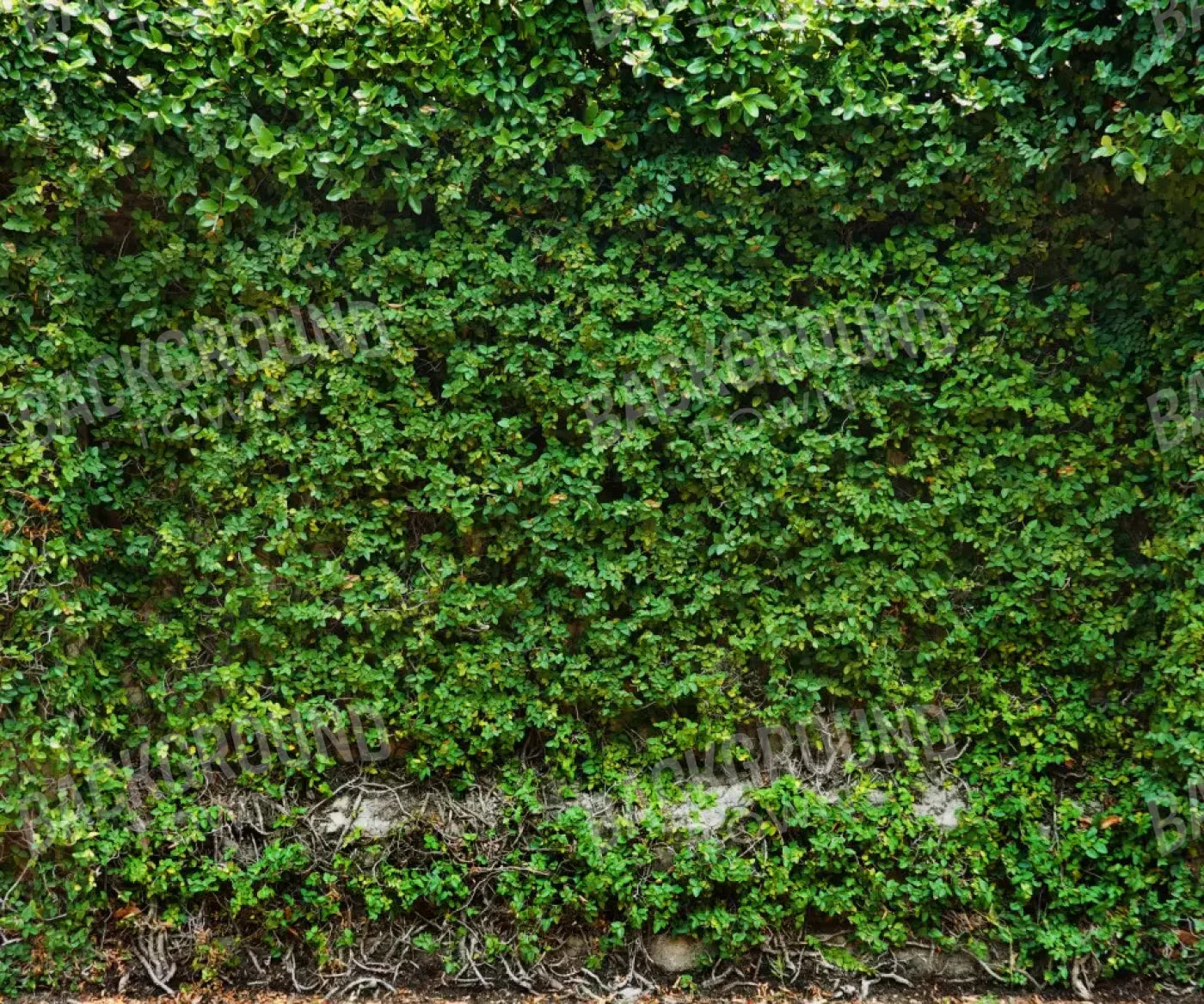 Overgrowth 5X42 Fleece ( 60 X 50 Inch ) Backdrop