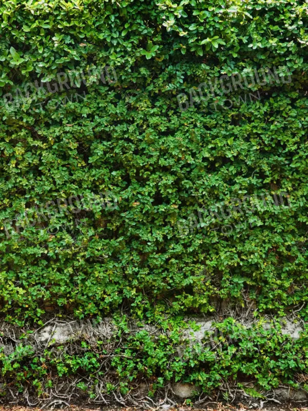 Overgrowth 5X68 Fleece ( 60 X 80 Inch ) Backdrop