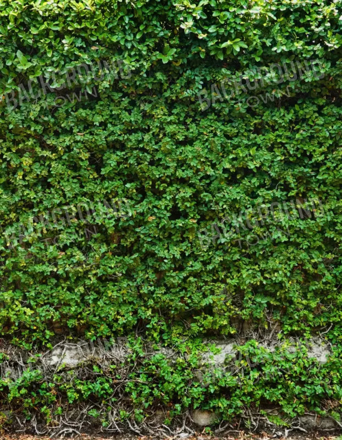 Overgrowth 6X8 Fleece ( 72 X 96 Inch ) Backdrop