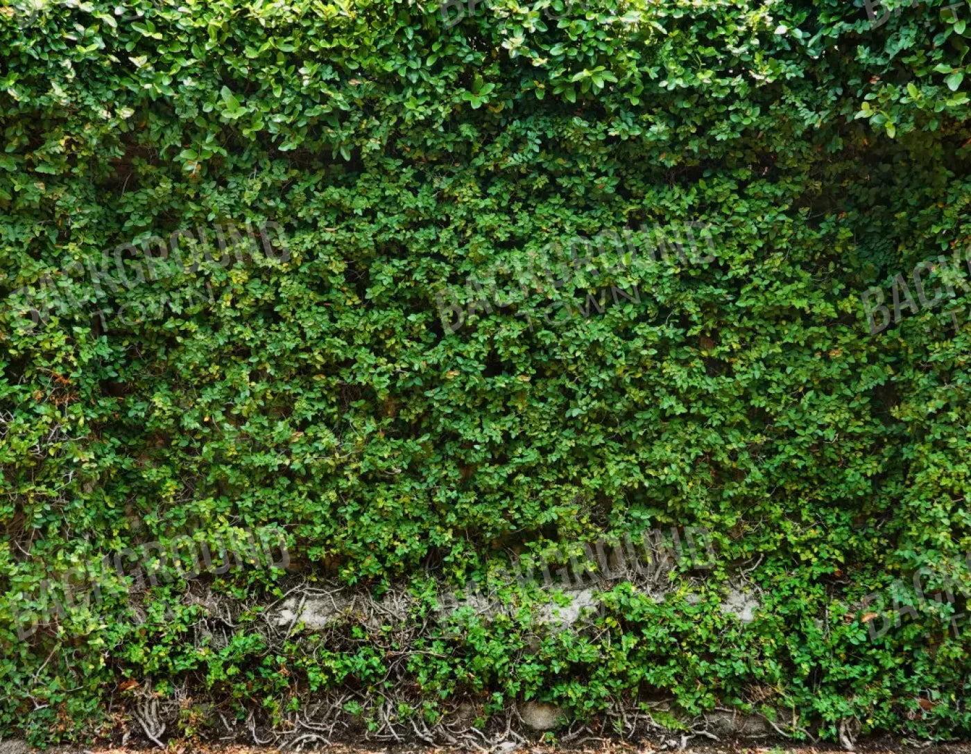 Overgrowth 8X6 Fleece ( 96 X 72 Inch ) Backdrop