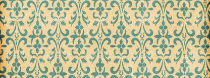 Overton 20X8 Ultracloth ( 240 X 96 Inch ) Backdrop