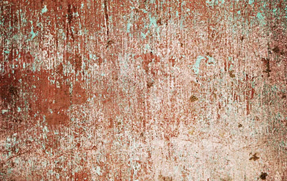 Painted 16X10 Ultracloth ( 192 X 120 Inch ) Backdrop