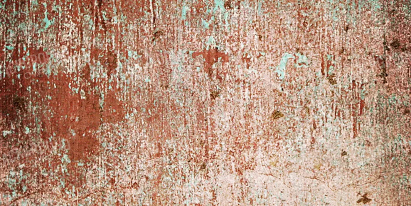 Painted 20X10 Ultracloth ( 240 X 120 Inch ) Backdrop