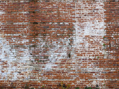 Painted Brick 10X8 Fleece ( 120 X 96 Inch ) Backdrop