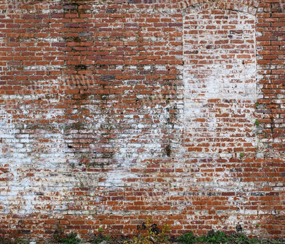 Painted Brick 12X10 Ultracloth ( 144 X 120 Inch ) Backdrop
