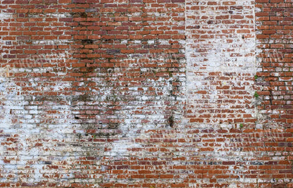 Painted Brick 12X8 Ultracloth ( 144 X 96 Inch ) Backdrop