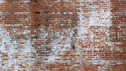 Painted Brick 14X8 Ultracloth ( 168 X 96 Inch ) Backdrop