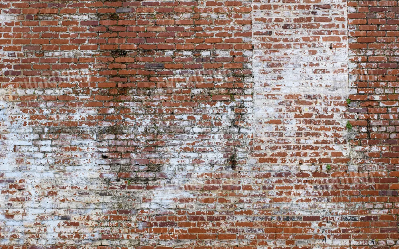 Painted Brick 14X9 Ultracloth ( 168 X 108 Inch ) Backdrop