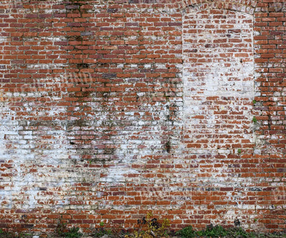 Painted Brick 5X42 Fleece ( 60 X 50 Inch ) Backdrop