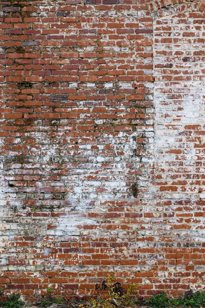 Painted Brick 5X8 Ultracloth ( 60 X 96 Inch ) Backdrop