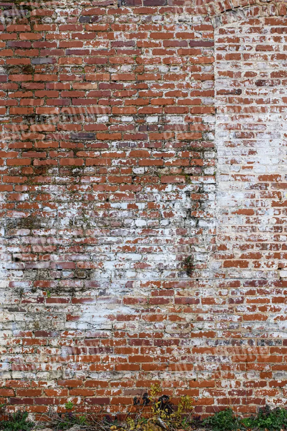 Painted Brick 5X8 Ultracloth ( 60 X 96 Inch ) Backdrop