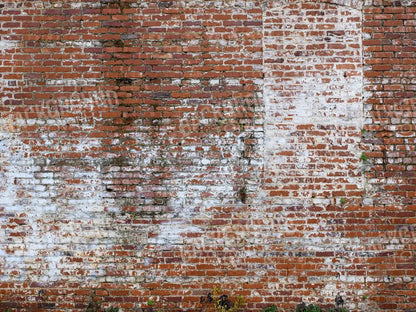 Painted Brick 68X5 Fleece ( 80 X 60 Inch ) Backdrop