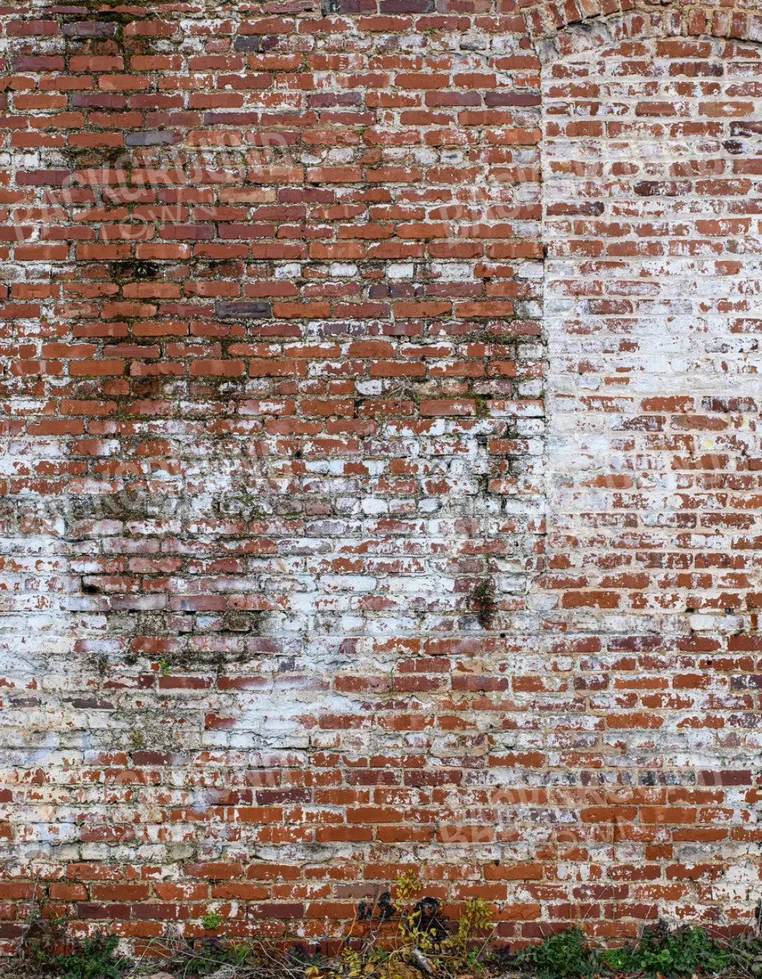 Painted Brick 6X8 Fleece ( 72 X 96 Inch ) Backdrop