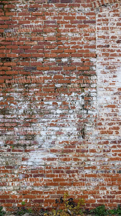 Painted Brick 8X14 Ultracloth ( 96 X 168 Inch ) Backdrop