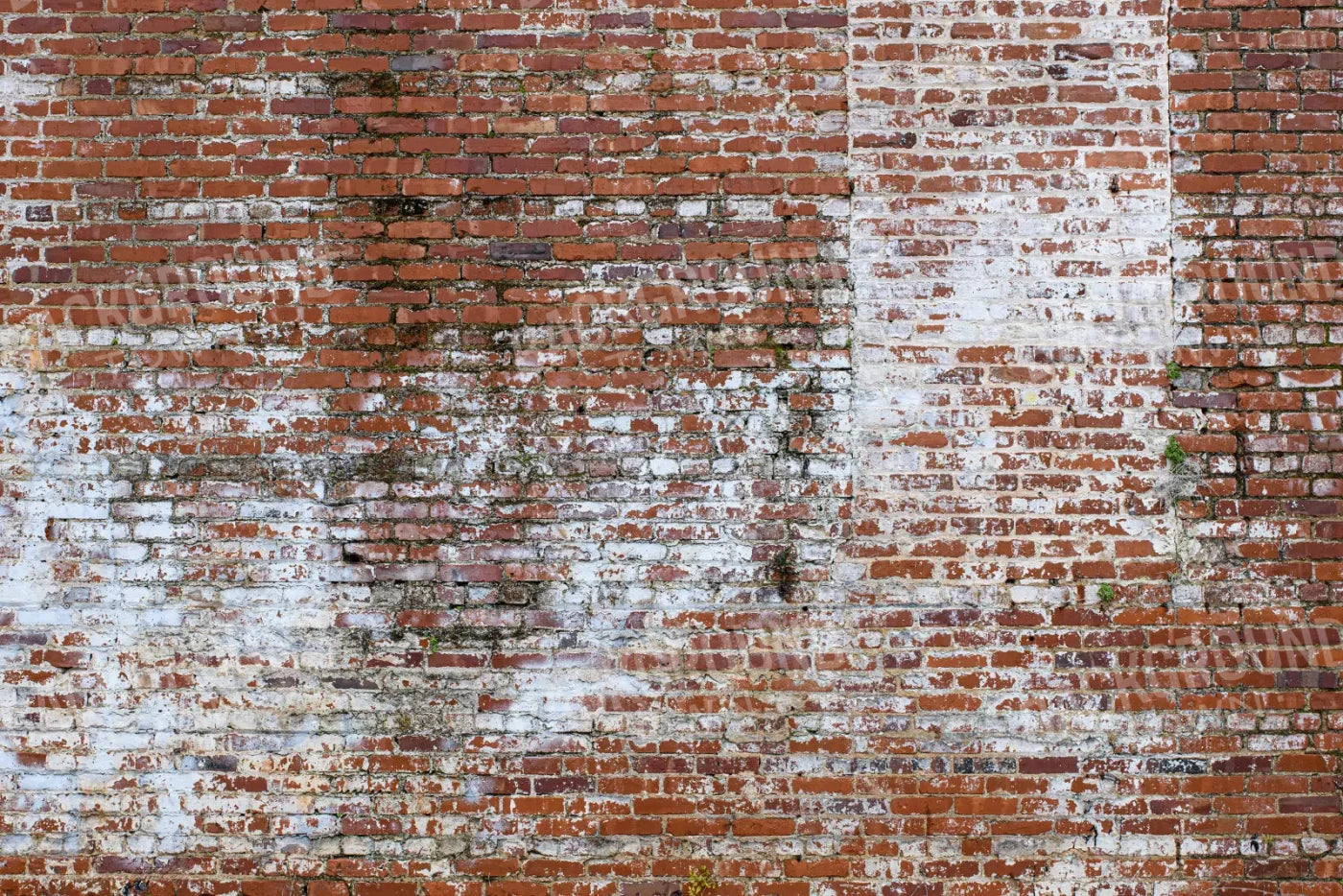 Painted Brick 8X5 Ultracloth ( 96 X 60 Inch ) Backdrop