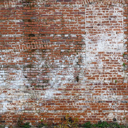 Painted Brick 8X8 Fleece ( 96 X Inch ) Backdrop
