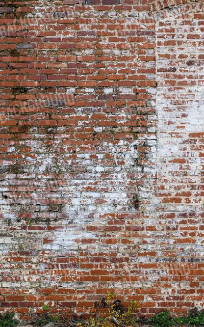 Painted Brick 9X14 Ultracloth ( 108 X 168 Inch ) Backdrop