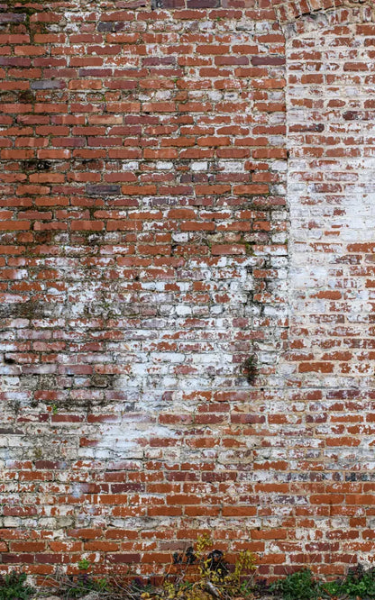 Painted Brick 9X14 Ultracloth ( 108 X 168 Inch ) Backdrop