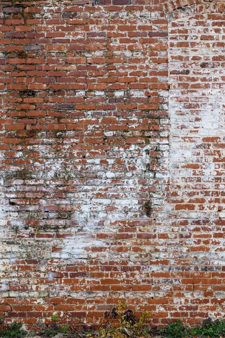 Painted Brick Backdrop
