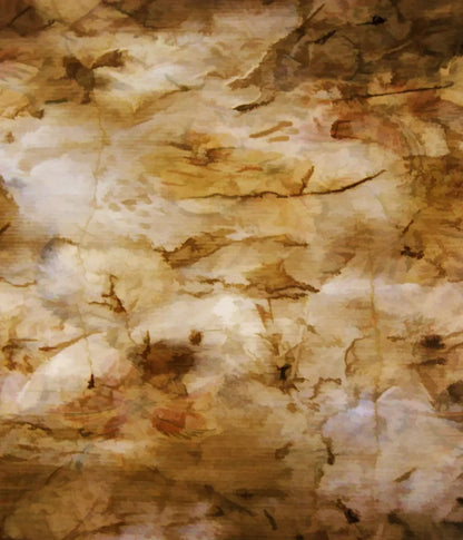 Painterly Tuscan Wall 10X12 Ultracloth ( 120 X 144 Inch ) Backdrop