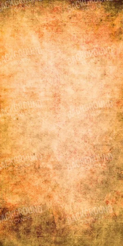 Parchment 10X20 Ultracloth ( 120 X 240 Inch ) Backdrop