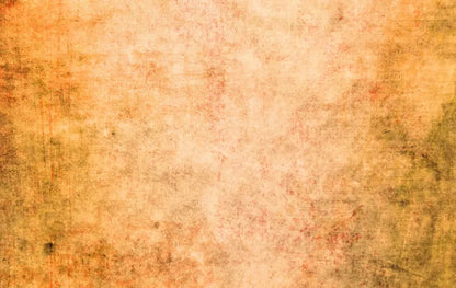 Parchment 16X10 Ultracloth ( 192 X 120 Inch ) Backdrop
