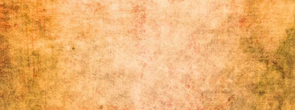 Parchment 20X8 Ultracloth ( 240 X 96 Inch ) Backdrop