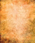 Orange Urban Grunge Backdrop for Photography
