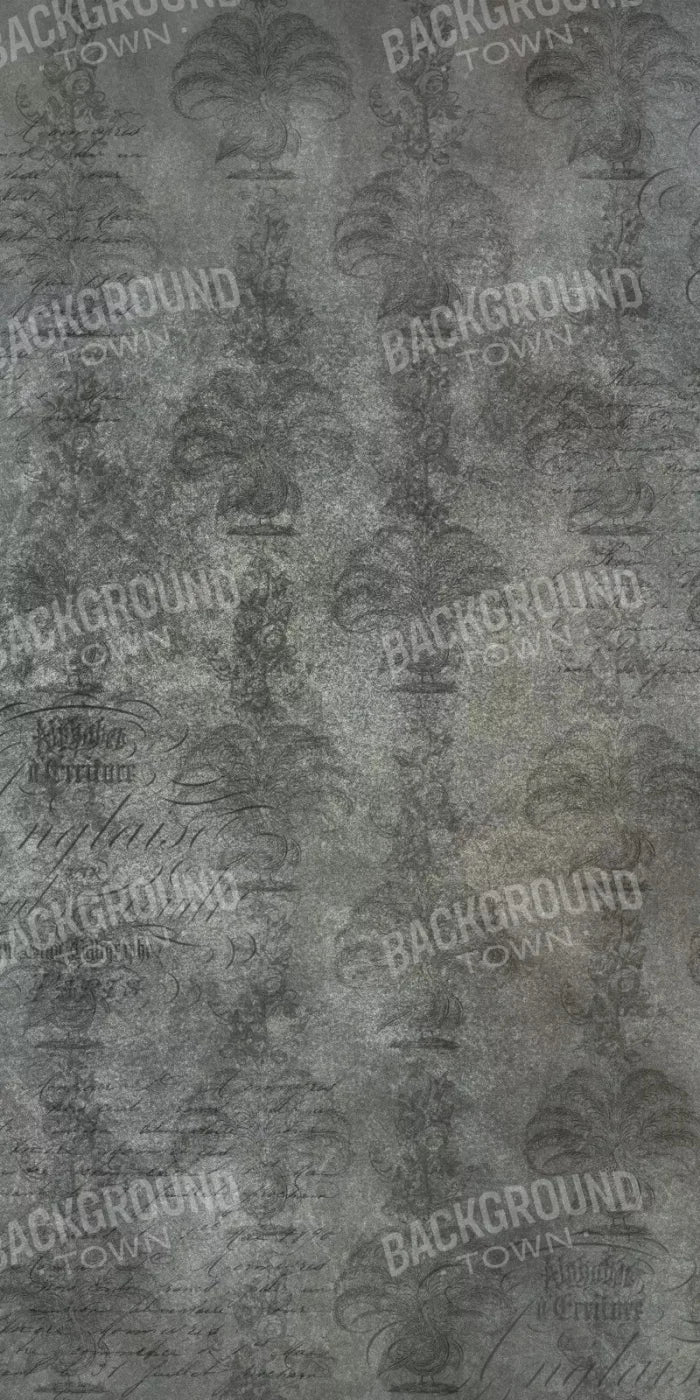 Paris 10X20 Ultracloth ( 120 X 240 Inch ) Backdrop