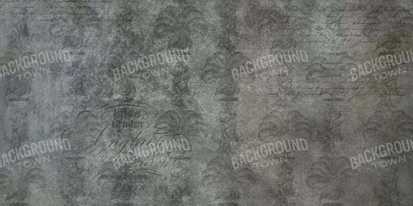 Paris 20X10 Ultracloth ( 240 X 120 Inch ) Backdrop