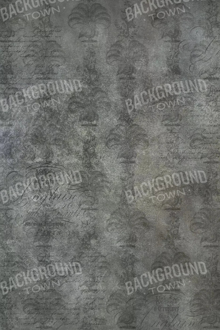 Paris 5X8 Ultracloth ( 60 X 96 Inch ) Backdrop