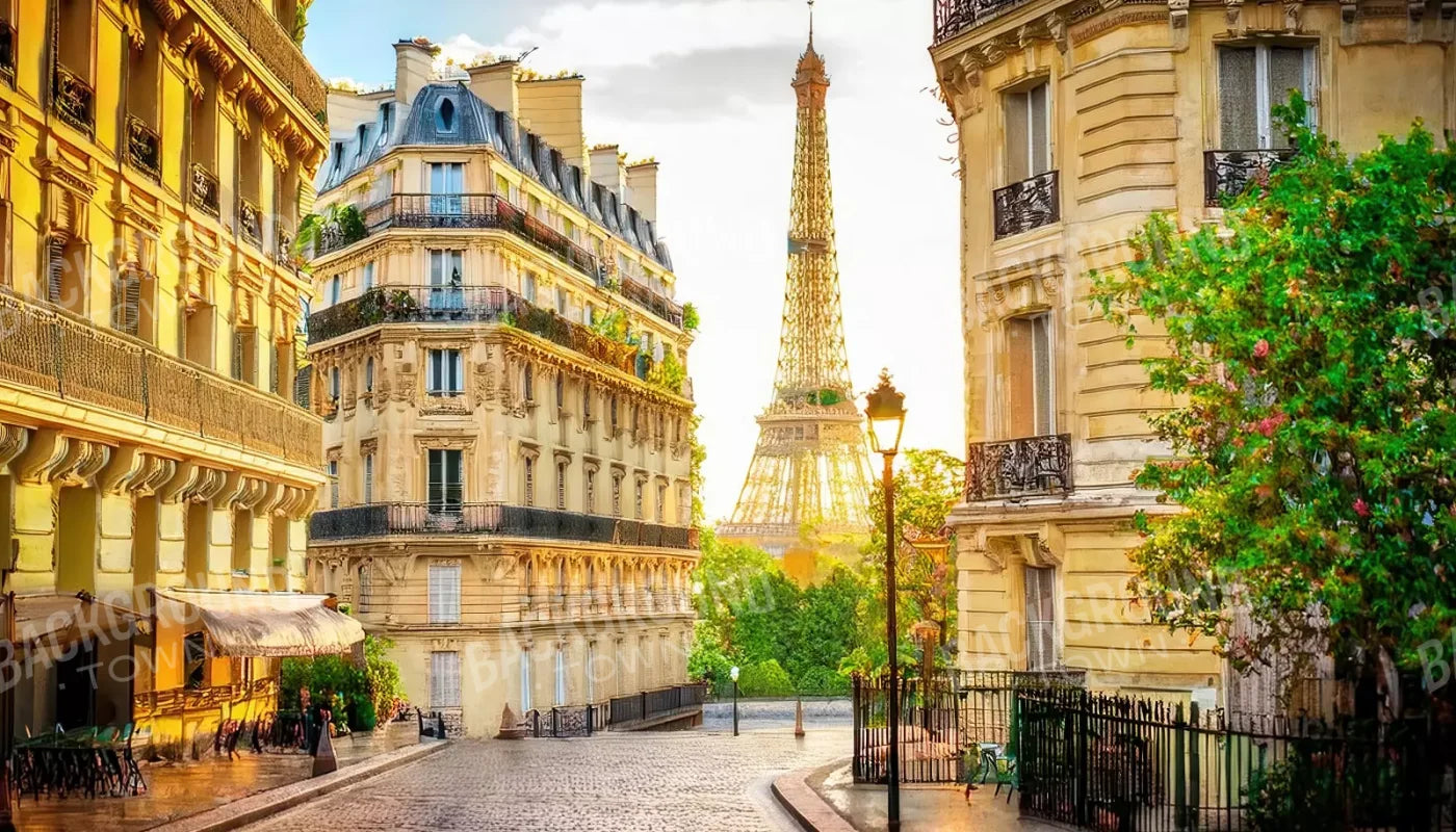 Paris Street Corner 14’x8’ UltraCloth (168 x 96 inch) Backdrop