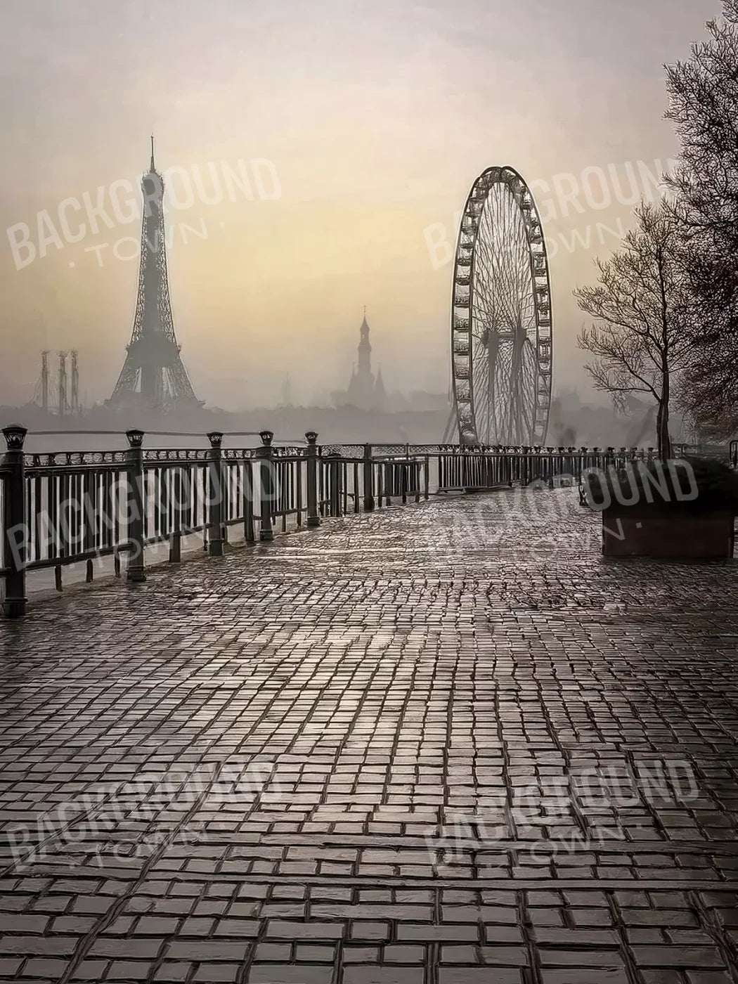 Evening View in Paris 5’x6’8 Fleece (60 x 80 inch) Backdrop