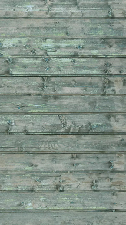 Parked 8X14 Ultracloth ( 96 X 168 Inch ) Backdrop