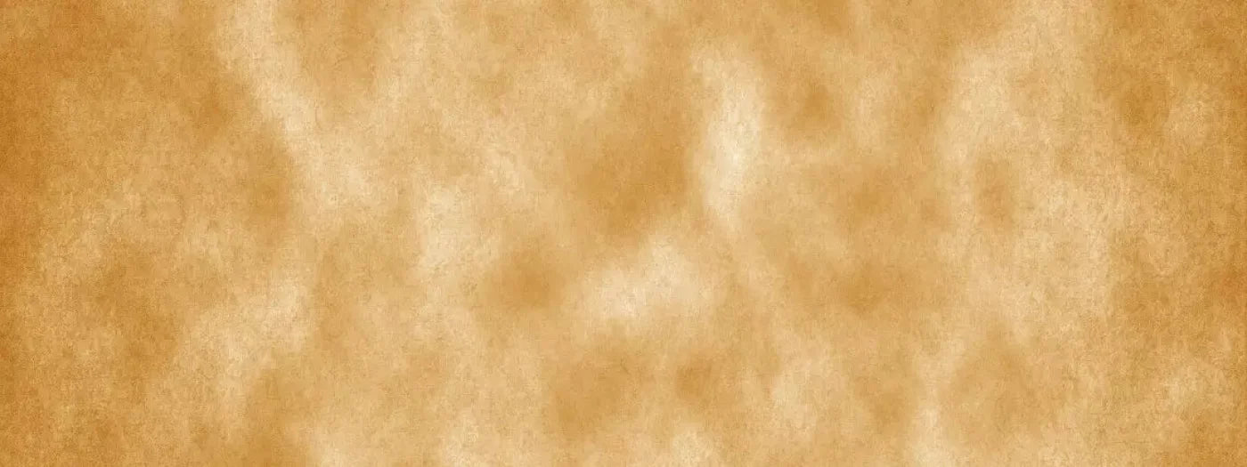 Parson 20X8 Ultracloth ( 240 X 96 Inch ) Backdrop