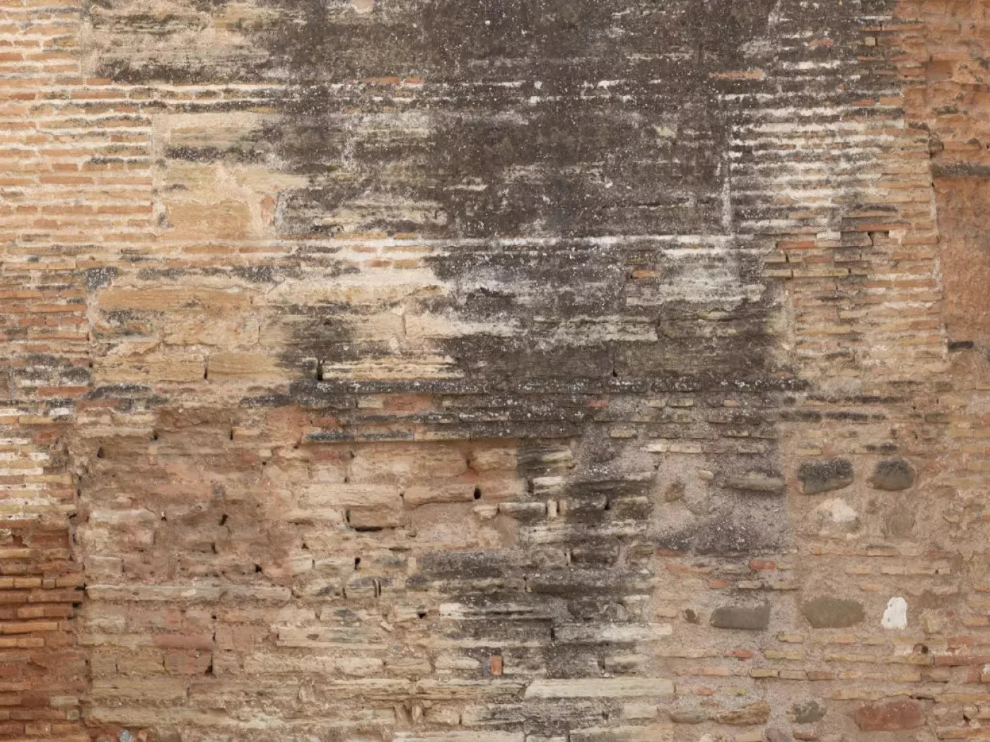 Partition 10X8 Fleece ( 120 X 96 Inch ) Backdrop