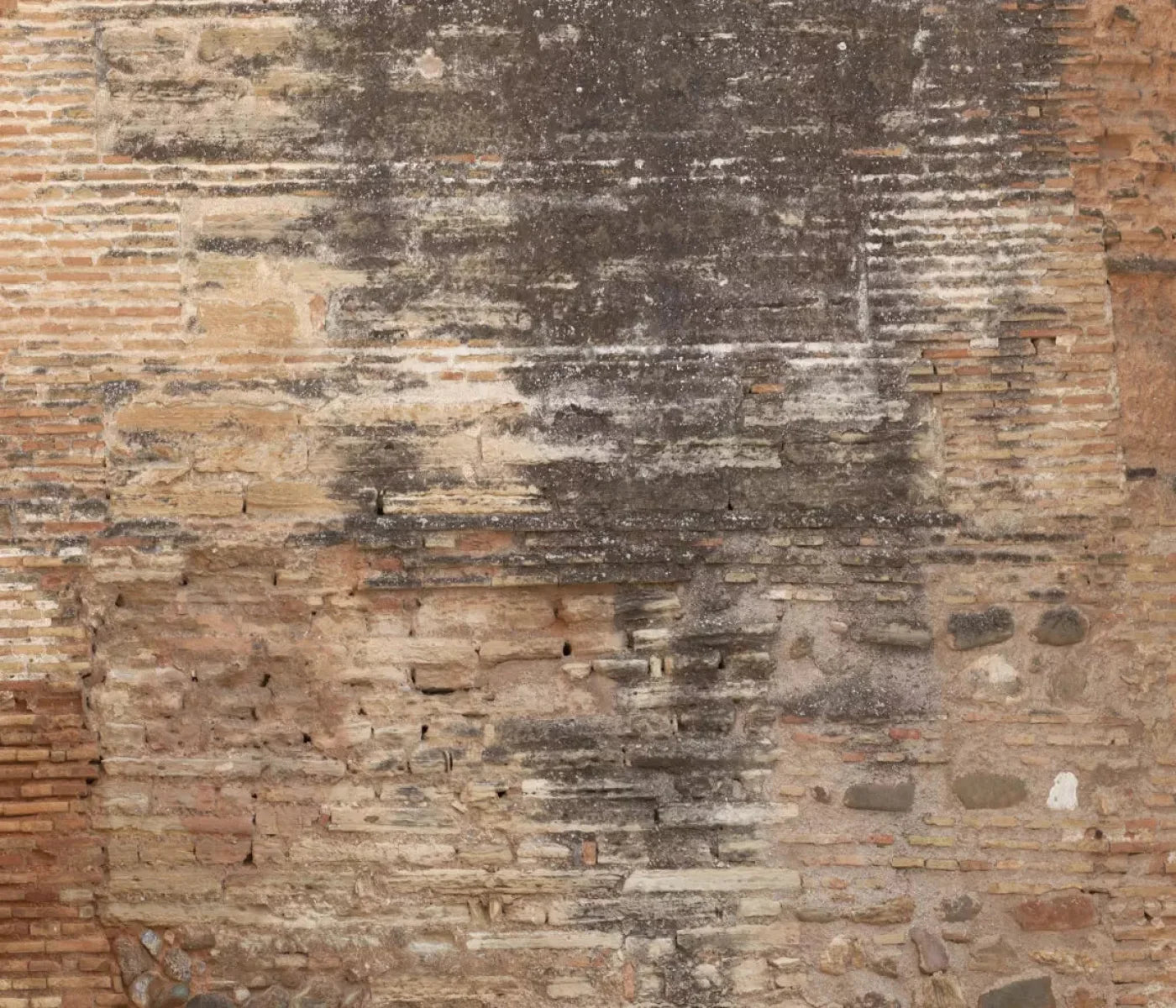 Partition 12X10 Ultracloth ( 144 X 120 Inch ) Backdrop