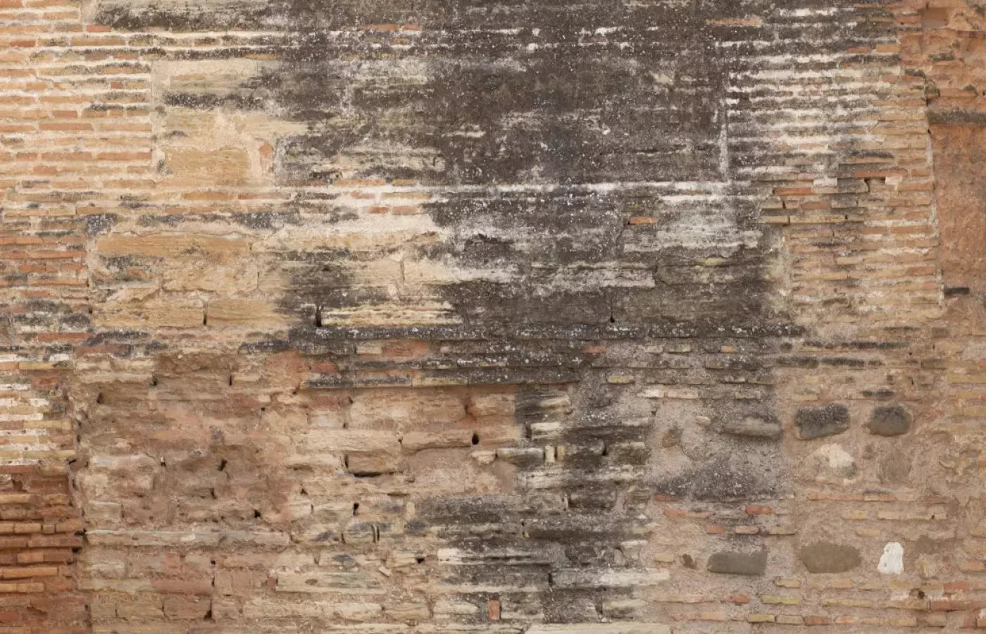 Partition 12X8 Ultracloth ( 144 X 96 Inch ) Backdrop