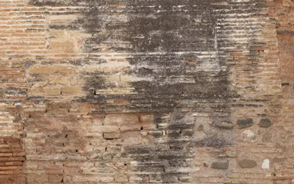 Partition 14X9 Ultracloth ( 168 X 108 Inch ) Backdrop