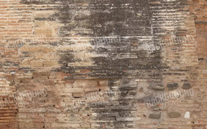 Partition 14X9 Ultracloth ( 168 X 108 Inch ) Backdrop