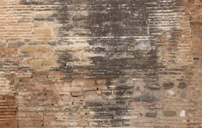 Partition 16X10 Ultracloth ( 192 X 120 Inch ) Backdrop