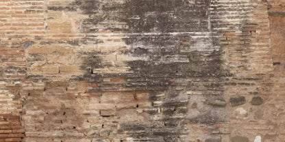 Partition 20X10 Ultracloth ( 240 X 120 Inch ) Backdrop