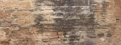 Partition 20X8 Ultracloth ( 240 X 96 Inch ) Backdrop
