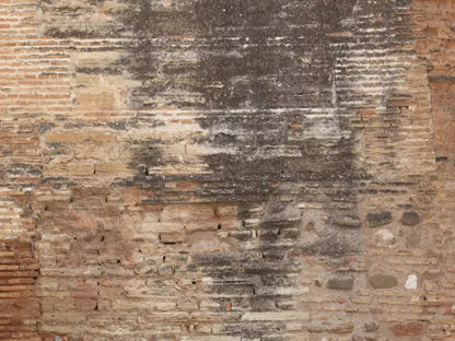 Partition 68X5 Fleece ( 80 X 60 Inch ) Backdrop
