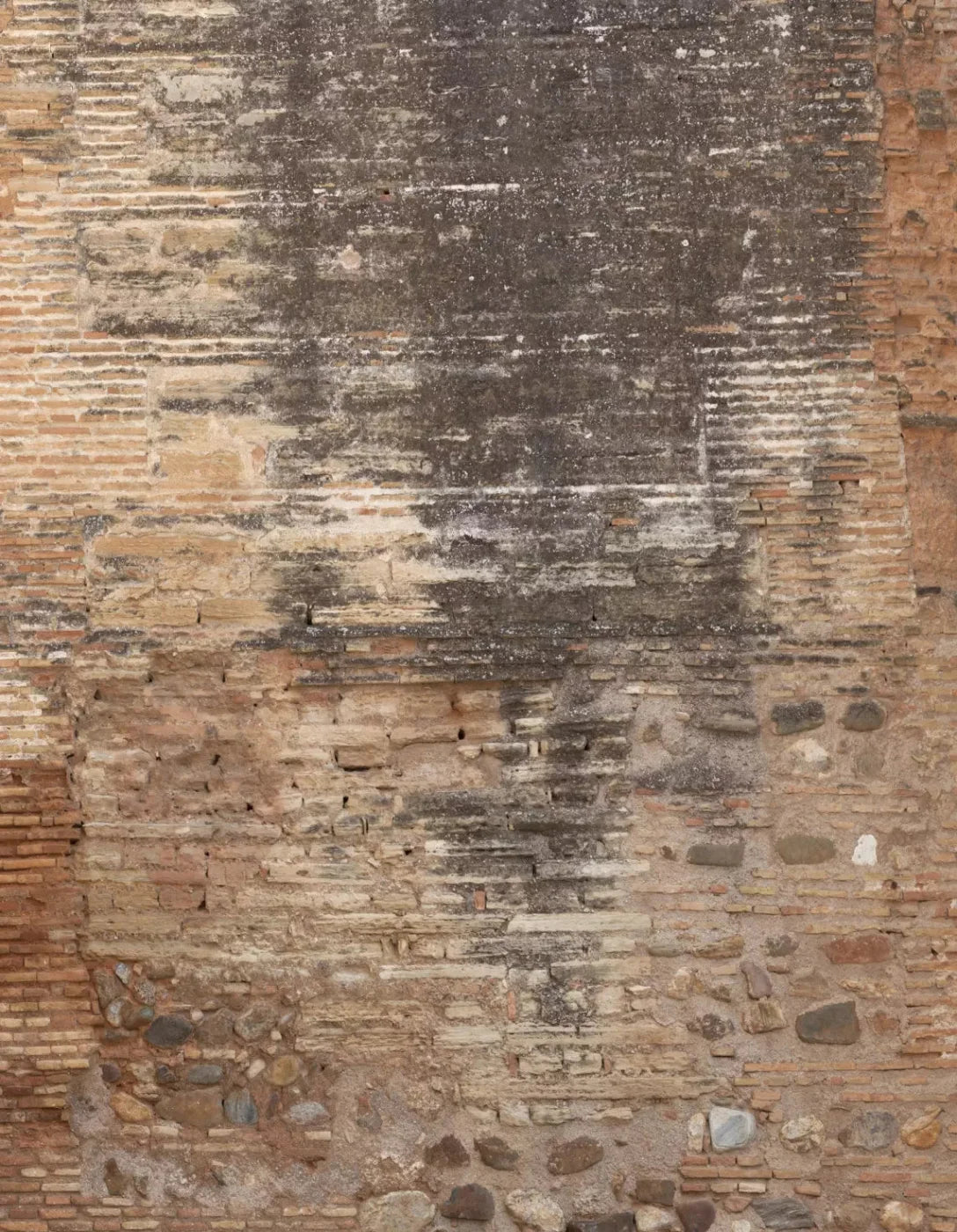 Partition 6X8 Fleece ( 72 X 96 Inch ) Backdrop